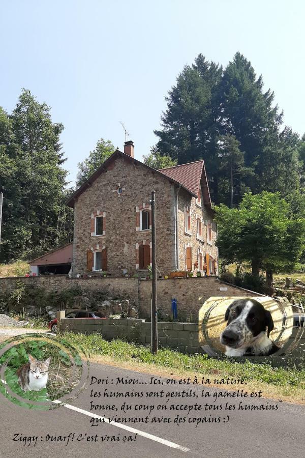 E Lu Chantauziau La Monnerie-le Montel Exterior photo
